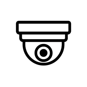 Dome Cameras-Eurovision