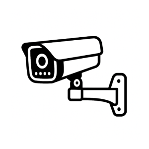 IP Cameras